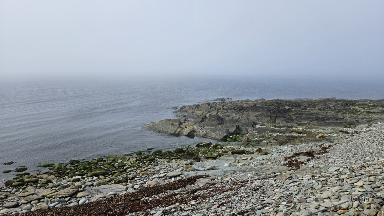 Shetland 19