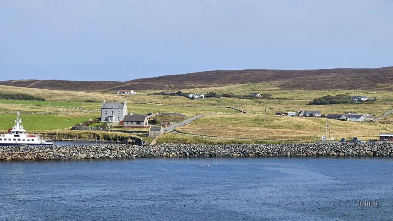 Shetland 41