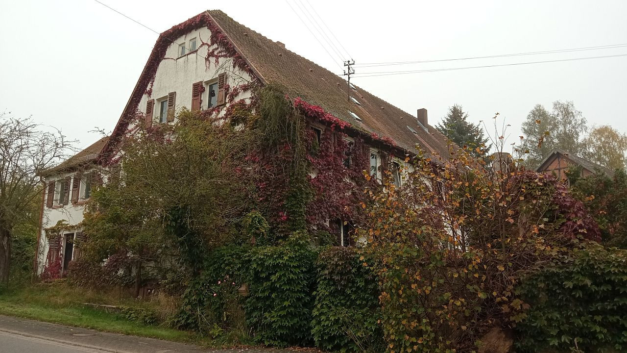 Tiefental, Kolbhof1