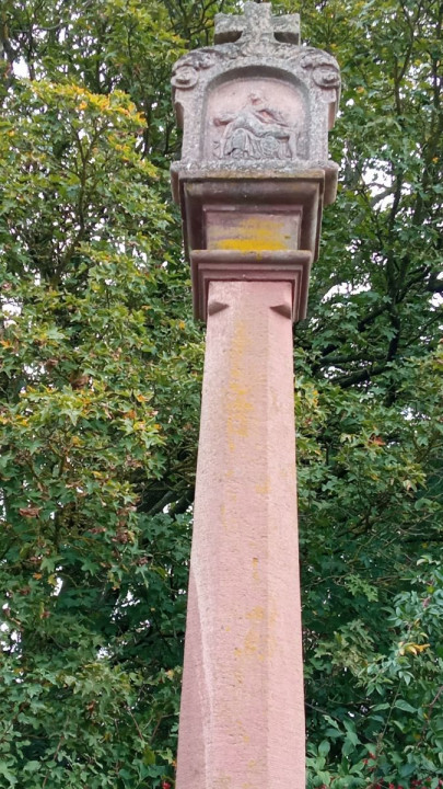 Steinkreuznest5