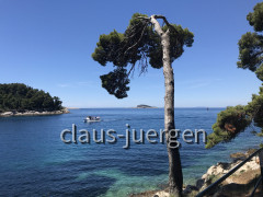 Cavtat (32)