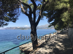 Cavtat (35)