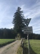 872E2598-5E50-4222-AF65-271C5EF69E94
