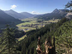 Adlerhorst