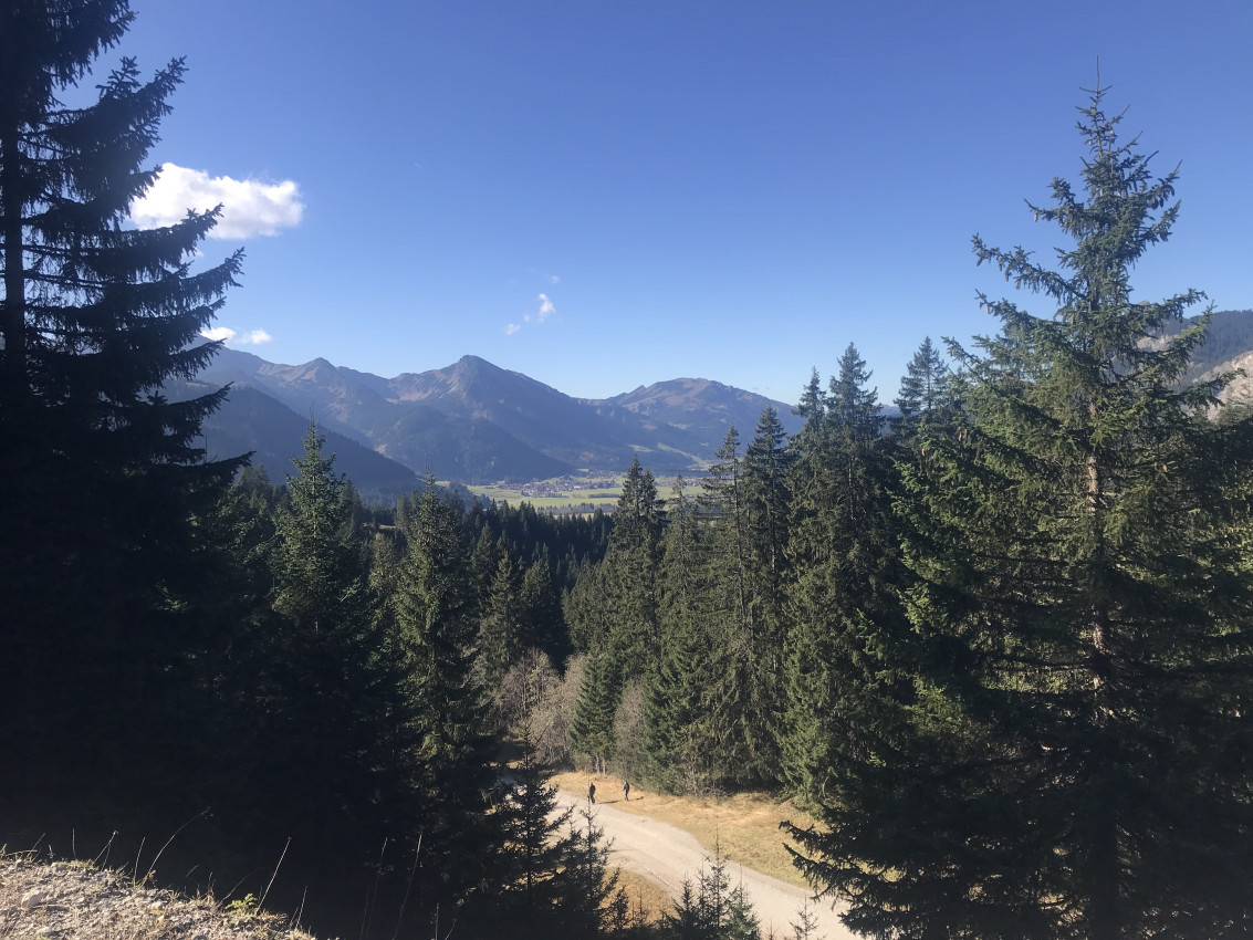 Adlerhorst