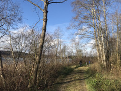 A34031D0-B427-43D9-8796-857EED2297B4.jpeg