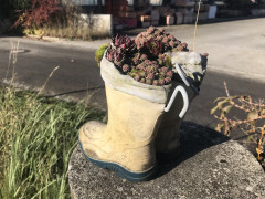 98B01300-96E3-4F30-A27E-2DDD7E063AA6.jpeg