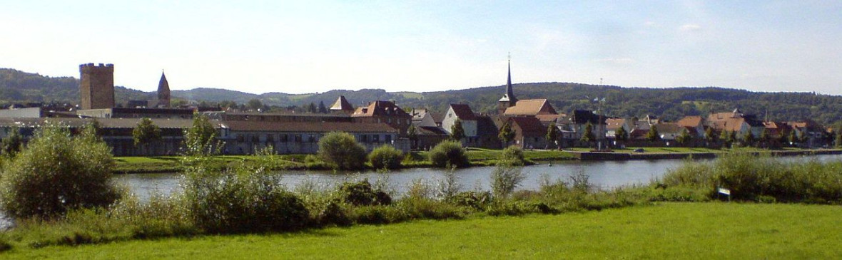 Wörth von Erlenbach aus1.jpg