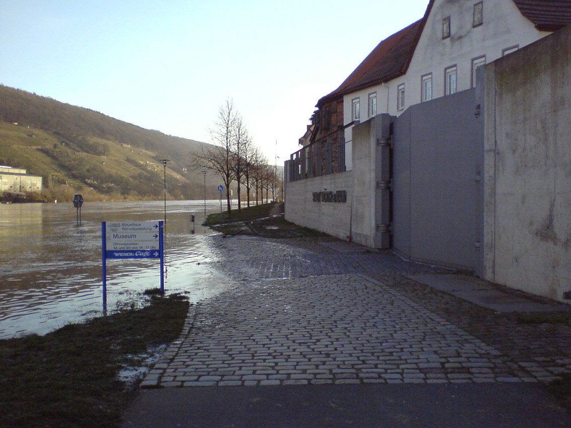 Wörth Hochwasser 2011-1.jpg