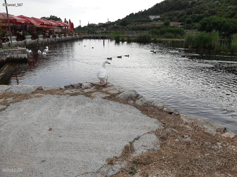 52_Kastel Stafilic.jpg