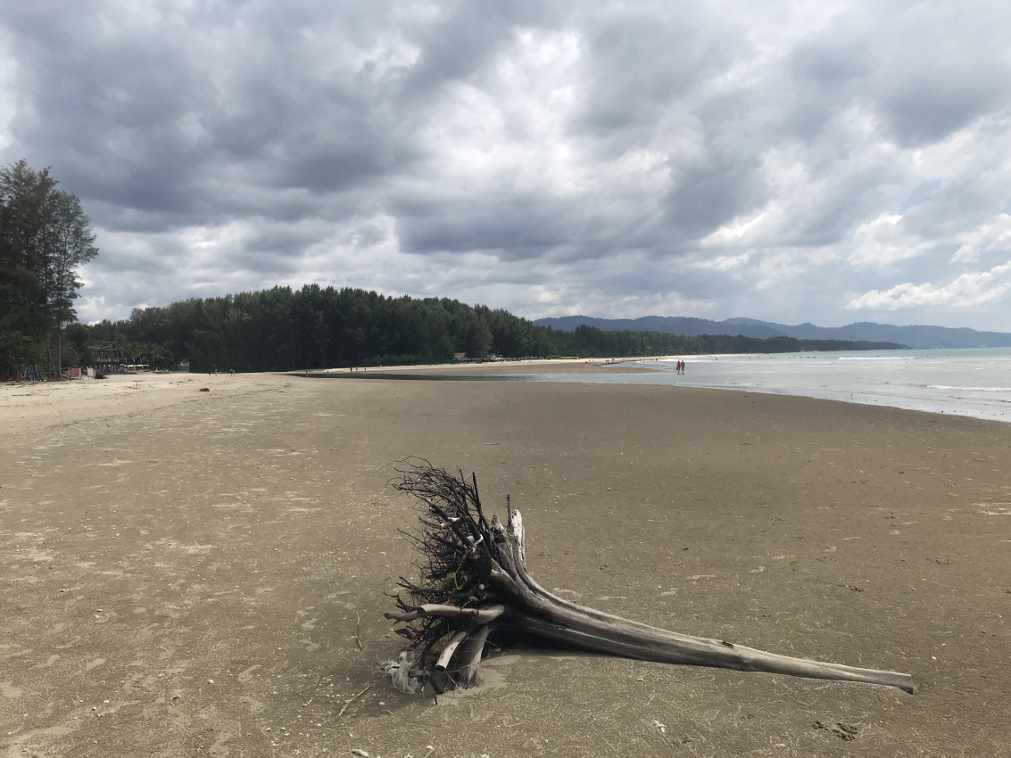 D1D16155-57DF-42AE-A391-E35109FF0004.jpeg
