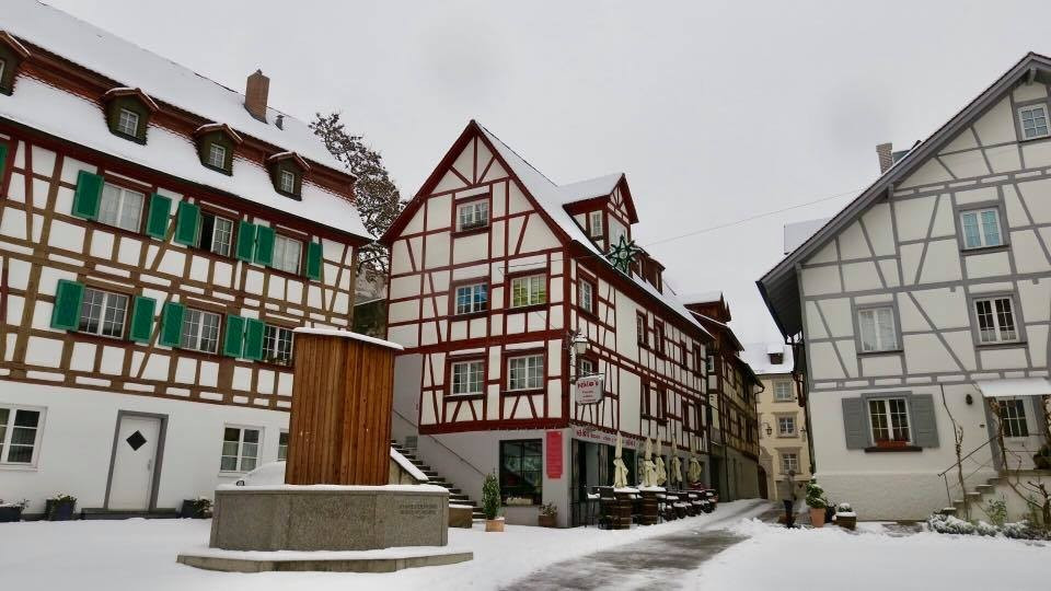 Meersburg im Winterkleid