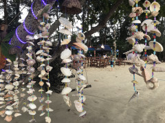 127D2055-FED4-4B31-A5B8-83647E7C7D6A.jpeg