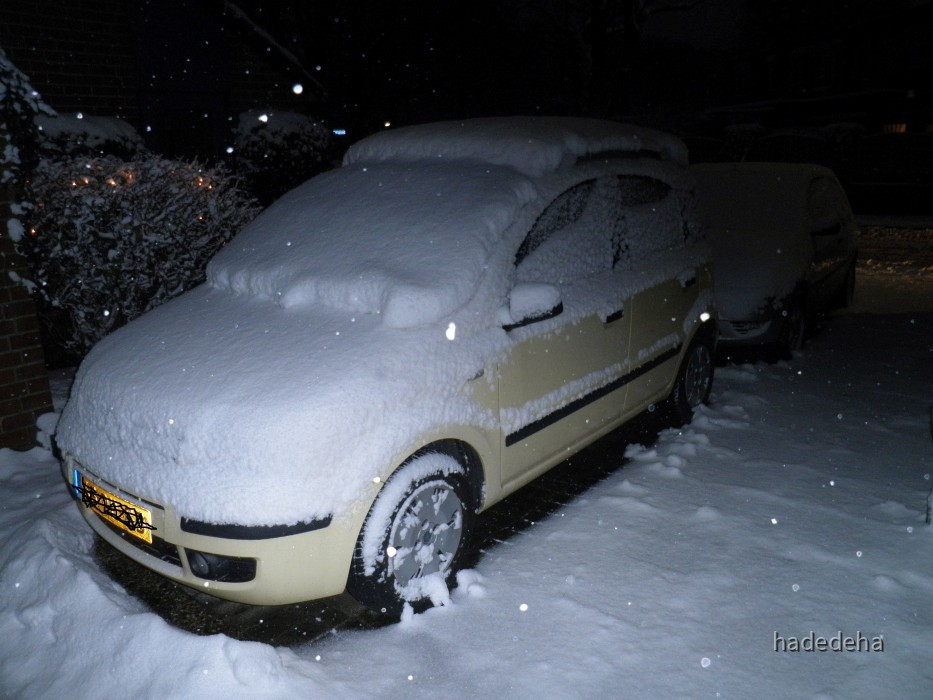 002 Panda in de sneeuw_B