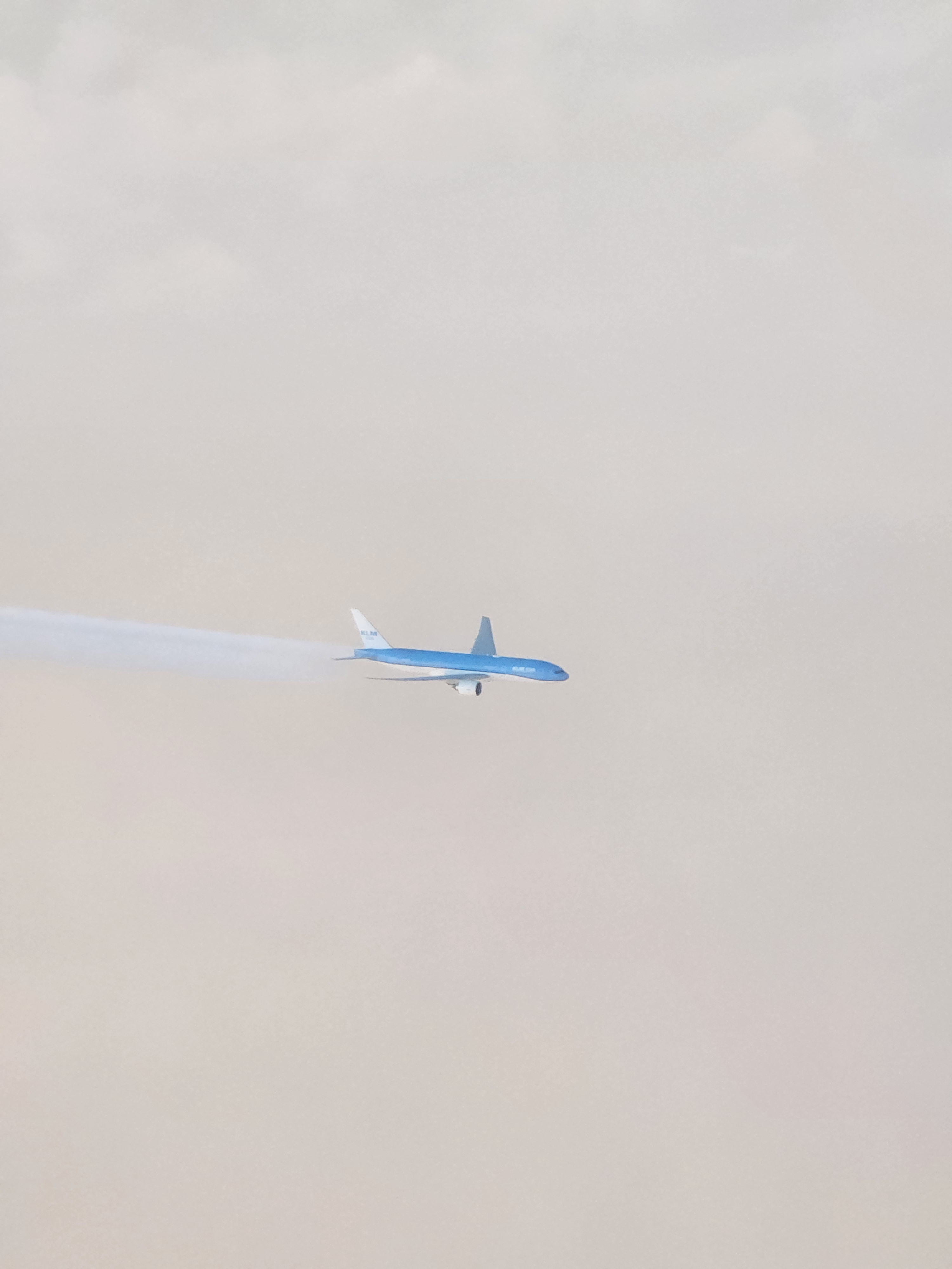 20240413_191735.jpg