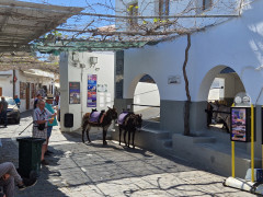 20240414_110821.jpg
