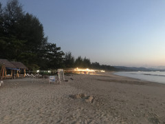 8A78BB2D-0E5B-41EB-806F-E51295C0C147.jpeg