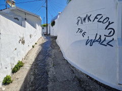 20240415_102950.jpg