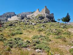 20240415_105055.jpg