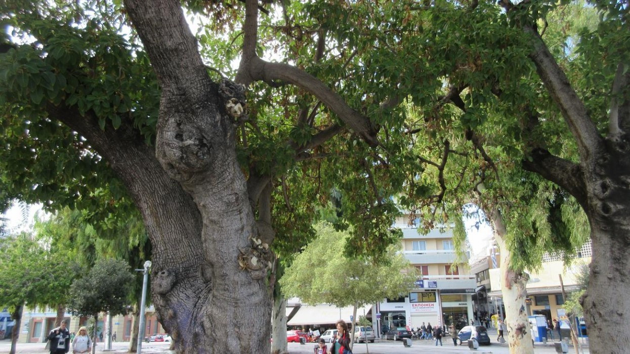 Heraklion_37