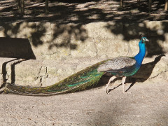20240415_180921.jpg