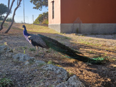 20240415_182226.jpg