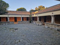 20240415_184759.jpg
