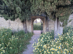 20240415_190019.jpg
