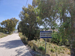 20240416_112004.jpg