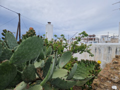 20240416_182209.jpg