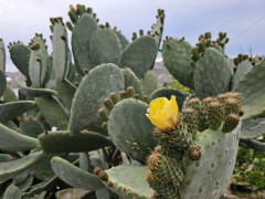 20240416_182235.jpg