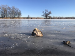 B9A4D579-E58E-4F11-B6DF-0891E614ED0B.jpeg