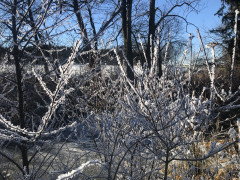 C1F80715-D13D-4C8E-BEB0-9828A94CA861.jpeg
