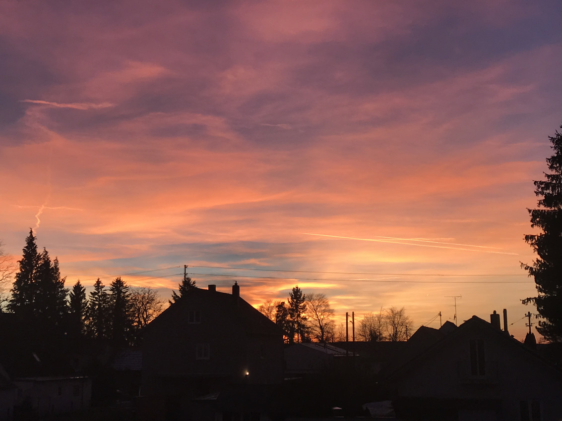 C9C248C9-B004-4306-8DDD-81607714F618.jpeg