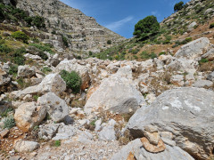 20240417_103005.jpg