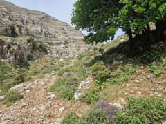 20240417_103445.jpg