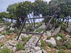 20240417_110450.jpg