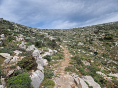 20240417_111644.jpg