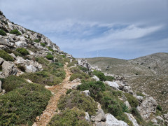 20240417_121907.jpg