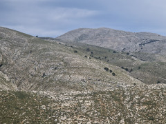 20240417_122350.jpg