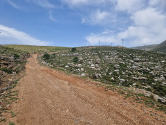 20240417_153138.jpg