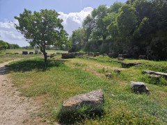 20240418_104511.jpg