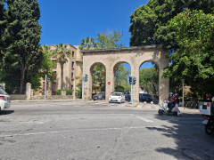 20240418_114632.jpg