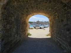 20240418_124410.jpg