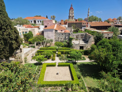 20240418_135501.jpg