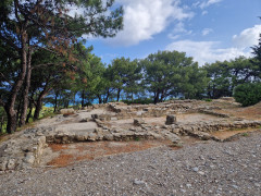 20240419_091840.jpg