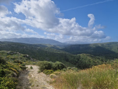 20240419_094533.jpg