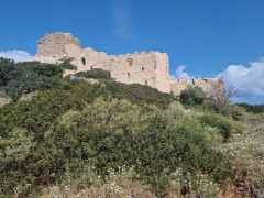 20240419_105742.jpg