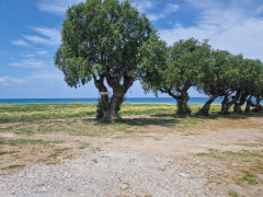 20240419_122154.jpg