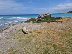 20240419_122445.jpg